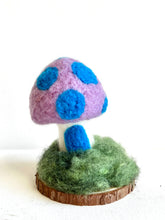 Load image into Gallery viewer, Needle felt mushroom class