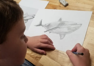 Beginning Drawing: Ages 8-12 Aug-Sept
