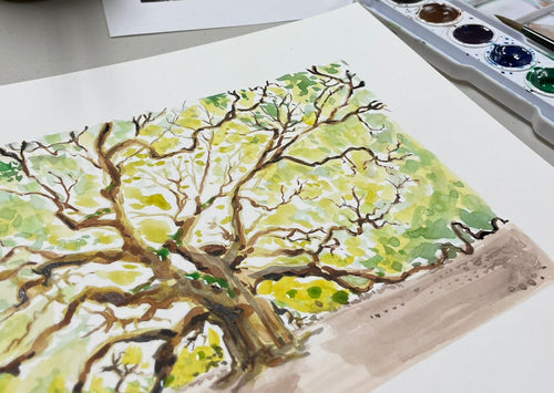 NOV-DEC Botanical Watercolor for Adults EVENING