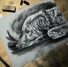 Load image into Gallery viewer, Evening Charcoal Pet Portrait Workshop