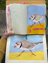 Load image into Gallery viewer, Visual Journals: Art &amp; Reflection Workshop