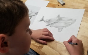 Beginning Drawing: Ages 7-11