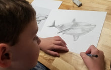 Load image into Gallery viewer, Beginning Drawing: Ages 7-11 WA