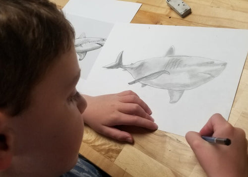 March Beginning Drawing: Ages 6-10 WA