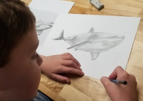 Beginning Drawing (ages 6-10)