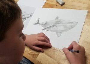 Beginning Drawing: Ages 6-10